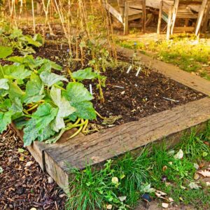 What Can You Build a Raised Garden Bed With?